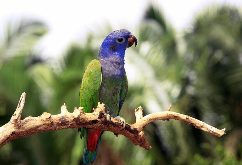 酒店 Sol Del Oriente Pucallpa