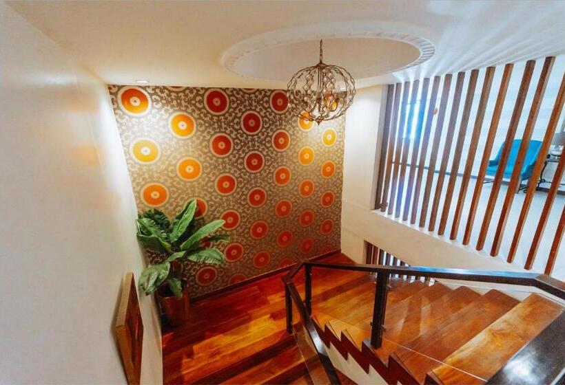 בית מלון כפרי Sugarland