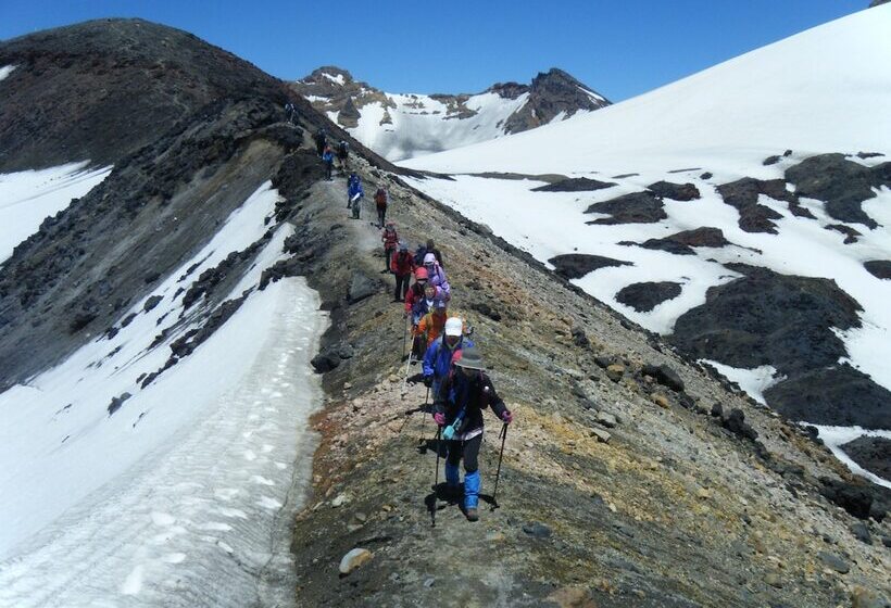 בית מלון כפרי Tongariro Lodge