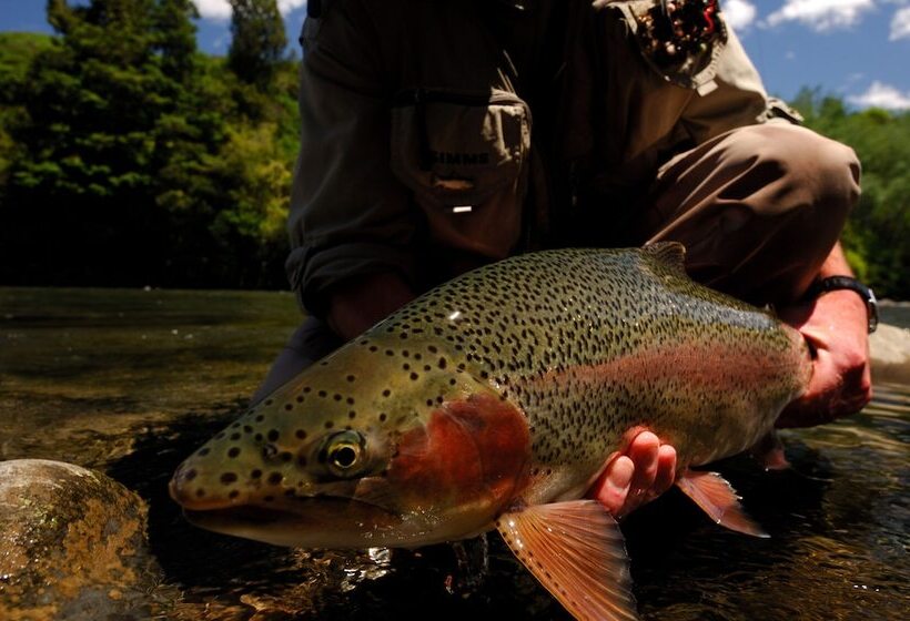 בית מלון כפרי Tongariro Lodge