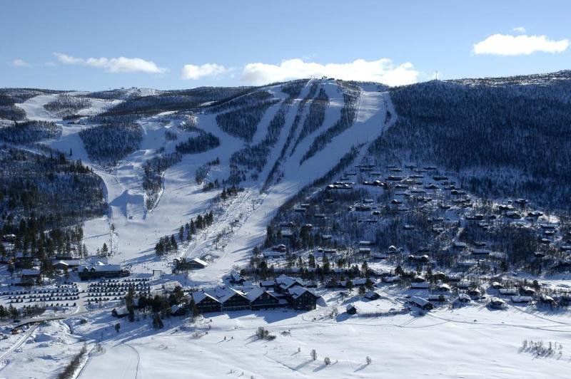 ホテル Vestlia Resort