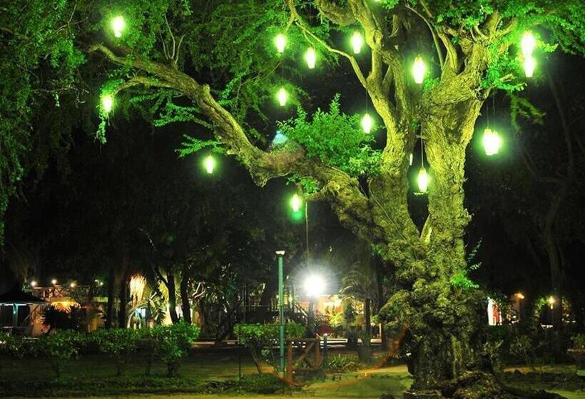 אתר נופש Matabungkay Beach