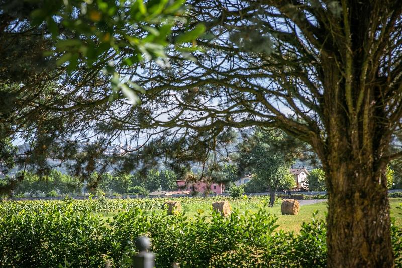 Il Quercione Agriturismo