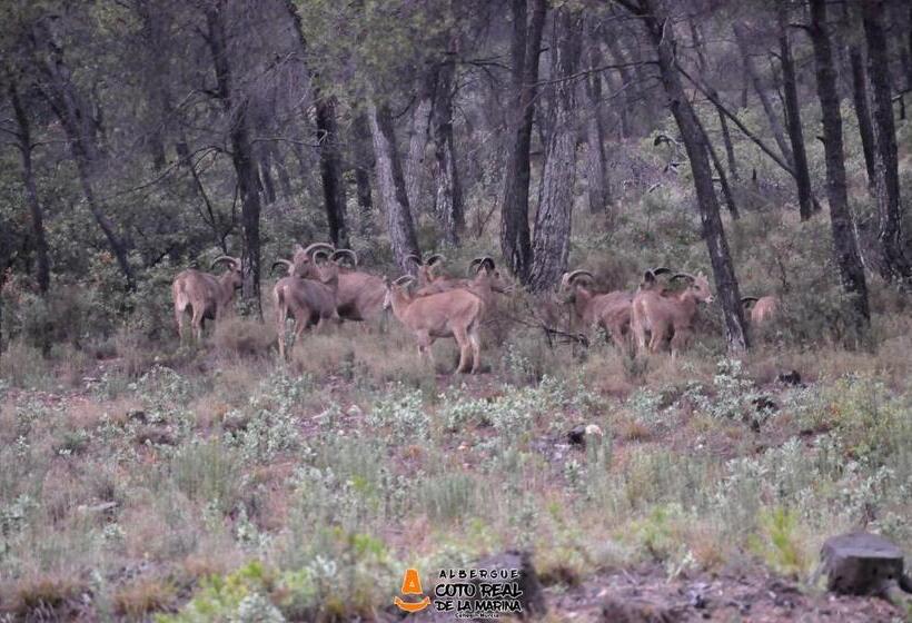 Albergue Coto Real De La Marina