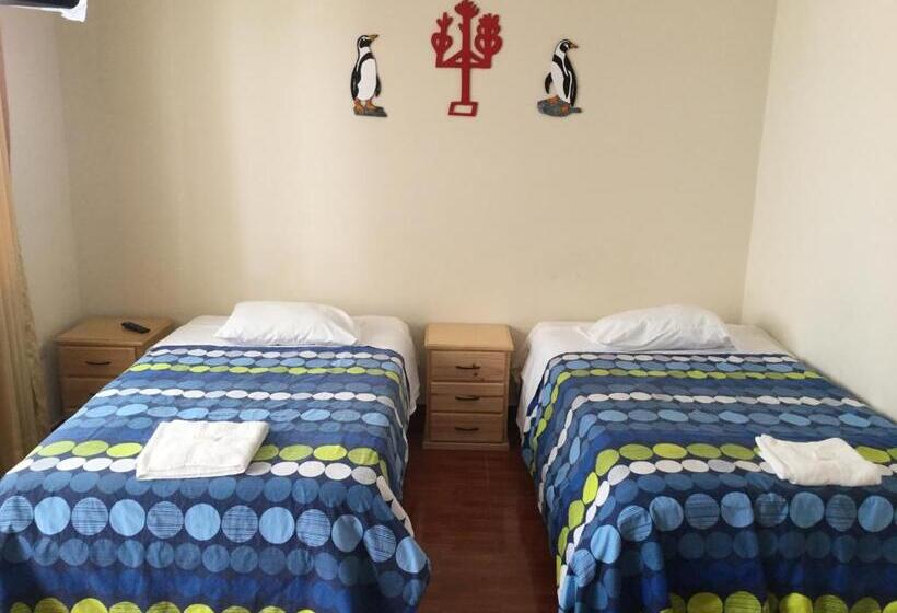 فندق صغير Paracas Backpackers House