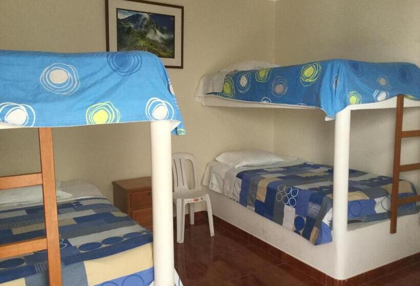 فندق صغير Paracas Backpackers House