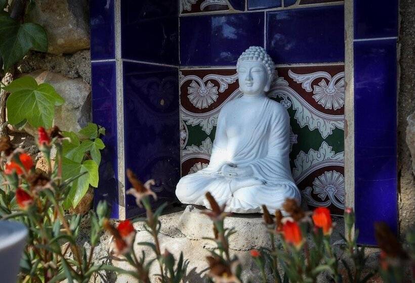 Bed and Breakfast Buena Idea Adults Only