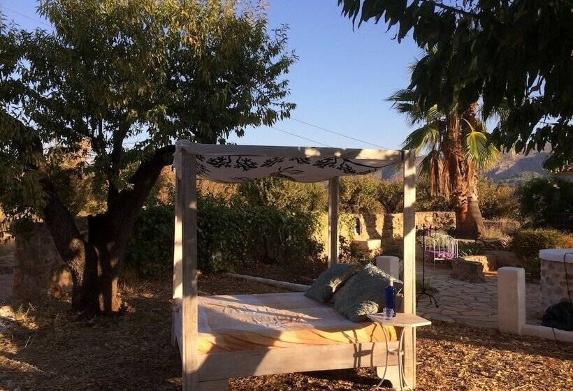 تختخواب و صبحانه Buena Idea   Adults Only