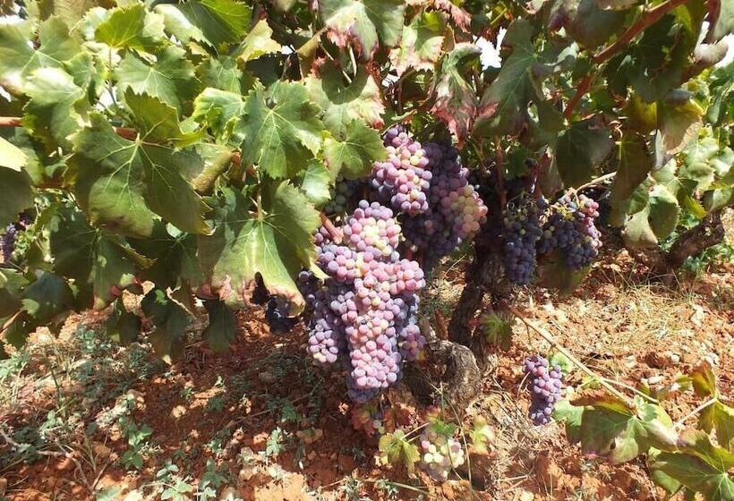 Bed and Breakfast Buena Idea Adults Only