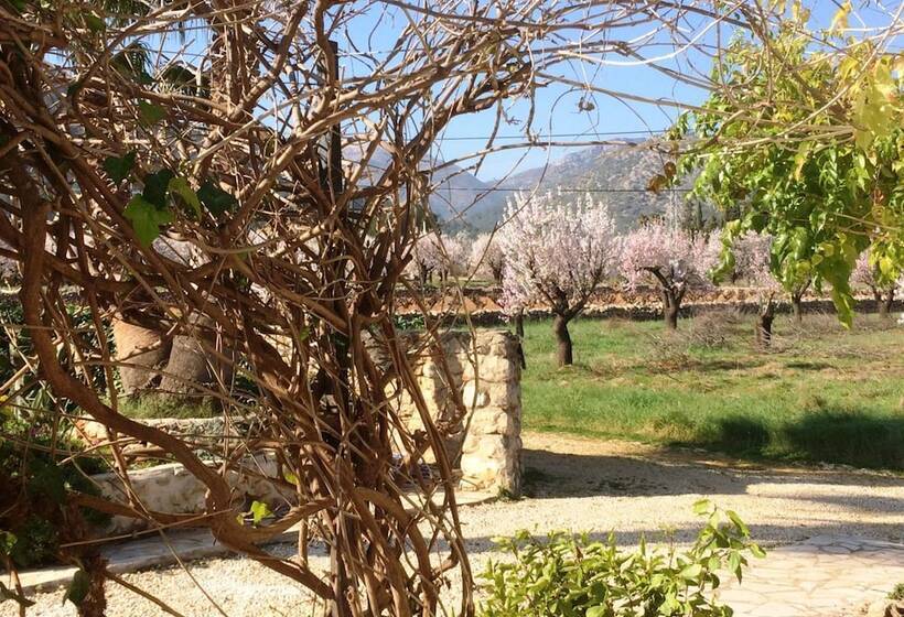 Bed and Breakfast Buena Idea Adults Only