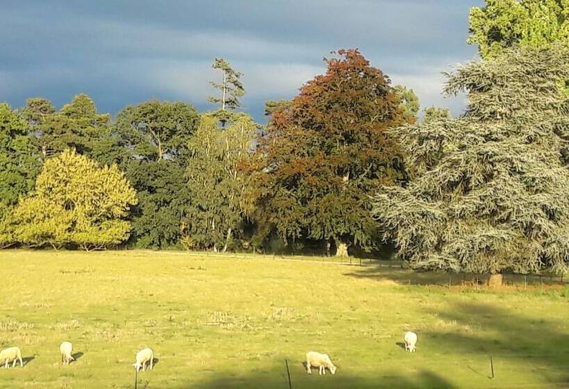 مبيت وإفطار Chateau Le Quesnoy