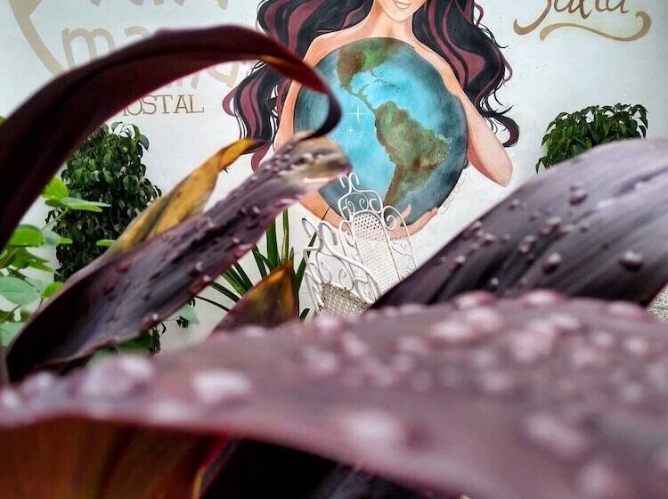 민박 Hostal La Pachamama