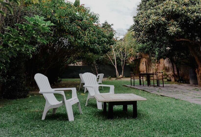 민박 Samsara Hotel Salta