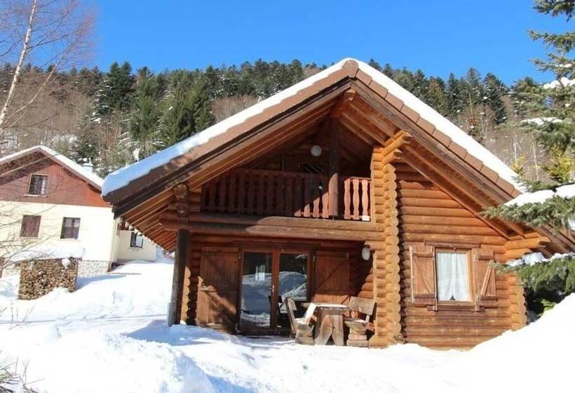 L Ours Noir Chalet En Rondins