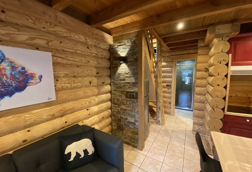 L Ours Noir Chalet En Rondins