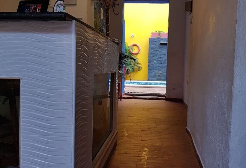 Coco Bahia Hostal   Hostel