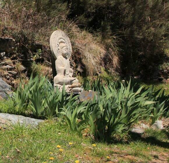 Hostal Las Terrazas De La Alpujarra