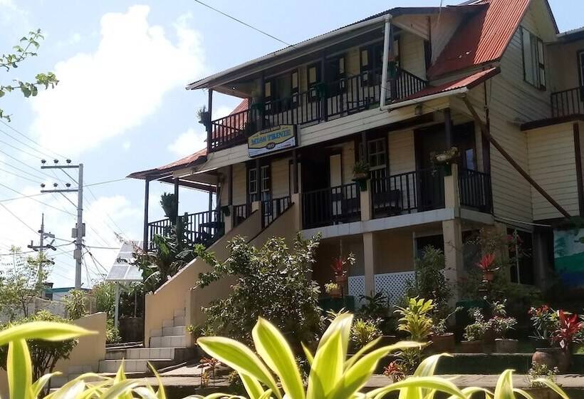 Хостел Posada Nativa Miss Trinie