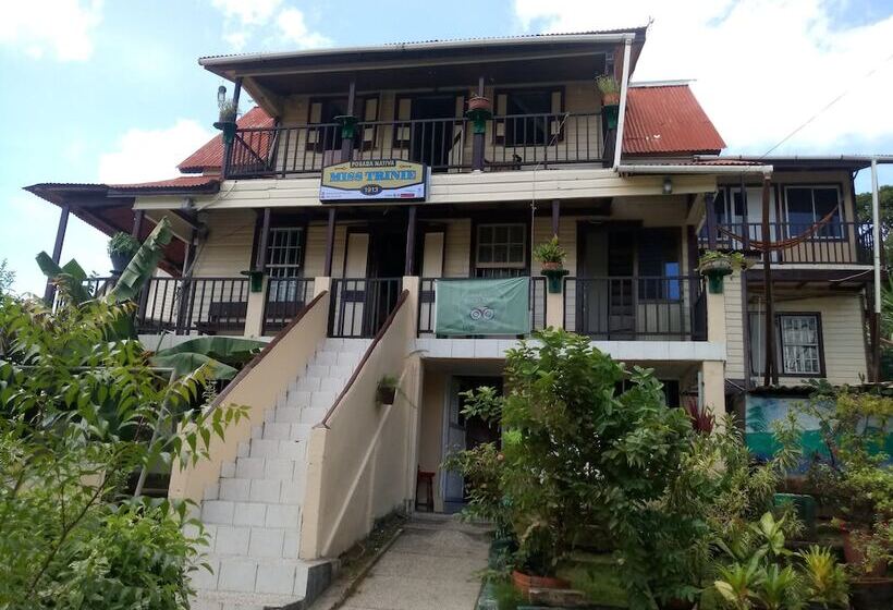 Хостел Posada Nativa Miss Trinie