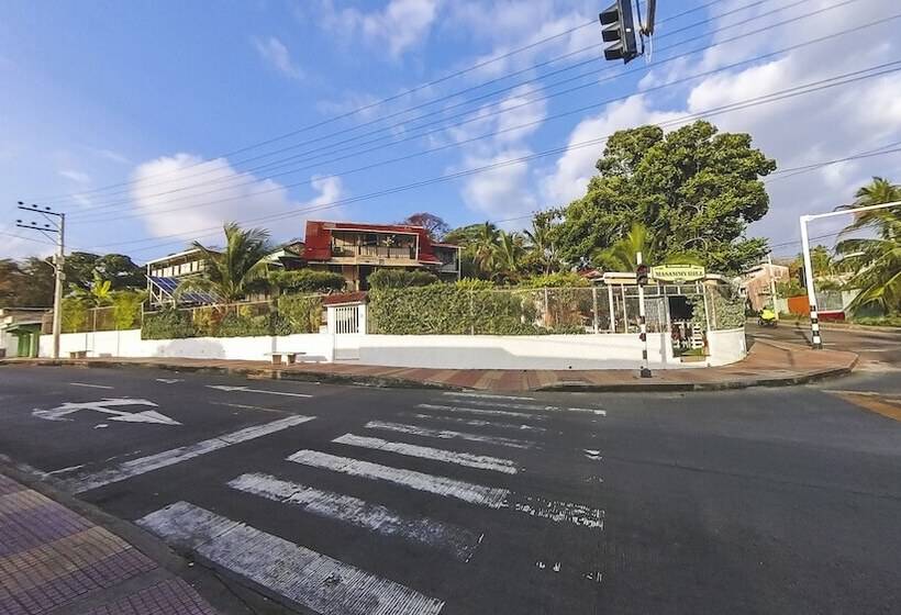 مسافرخانه Posada Nativa Miss Trinie