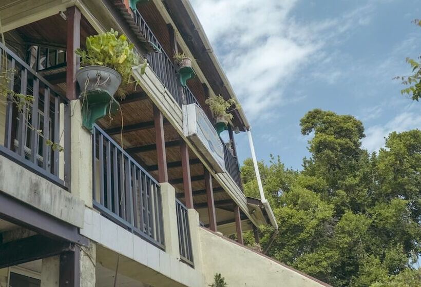 Хостел Posada Nativa Miss Trinie