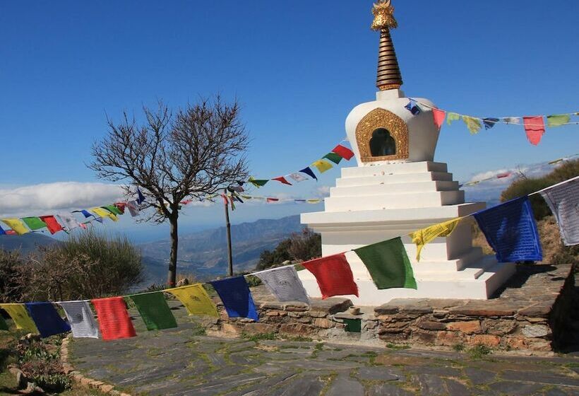 Hostal Las Terrazas De La Alpujarra