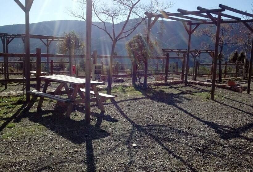 فندق Camping Almocita