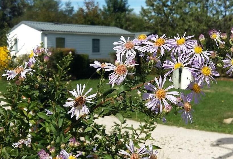 فندق Camping Des Platanes