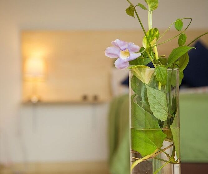 בית מלון כפרי Casa Bugambilia