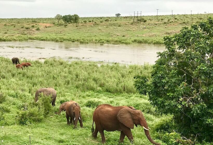 ホテル Elephant Walk Retreat