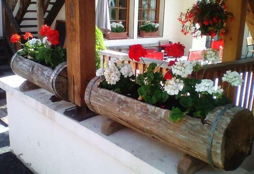 Отель Hôtel Restaurant La Croix Jean Claude