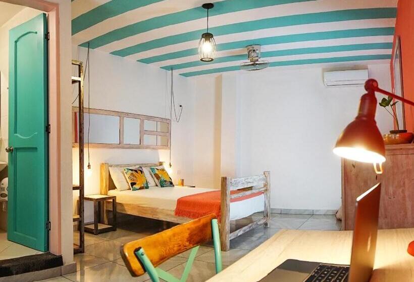 בית מלון כפרי La Brisa Loca Hostel