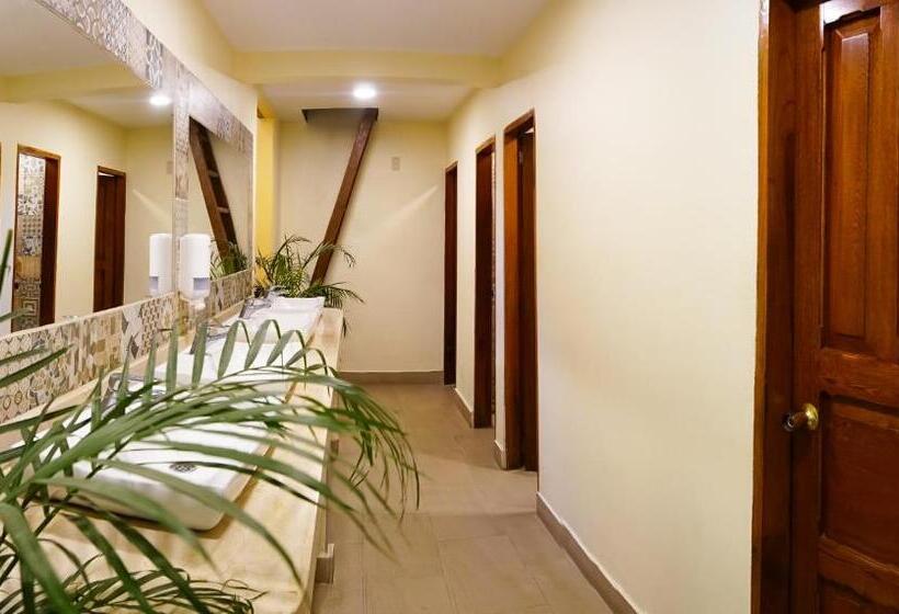 בית מלון כפרי La Brisa Loca Hostel