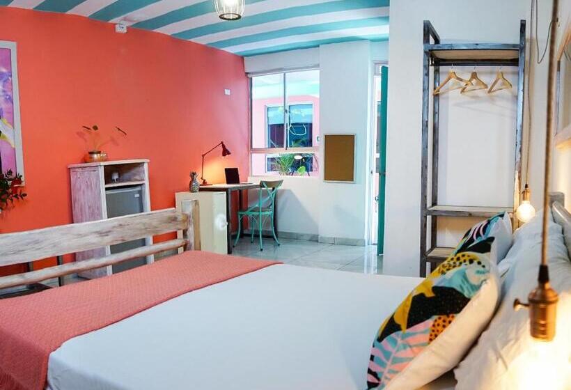 בית מלון כפרי La Brisa Loca Hostel