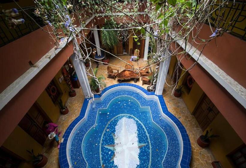 בית מלון כפרי La Brisa Loca Hostel