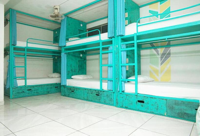 בית מלון כפרי La Brisa Loca Hostel