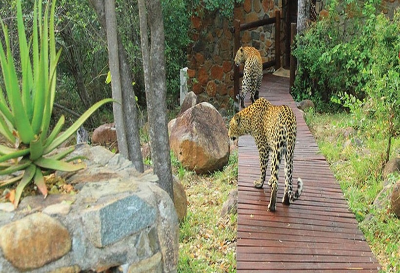 酒店 Leopard Hills