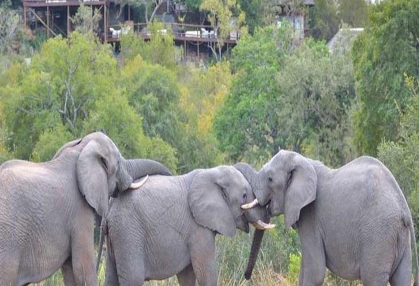 ホテル Leopard Hills