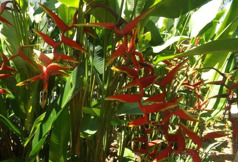 בית מלון כפרי Mares De Camburizinho