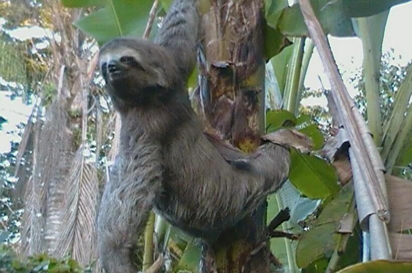 בית מלון כפרי Mares De Camburizinho