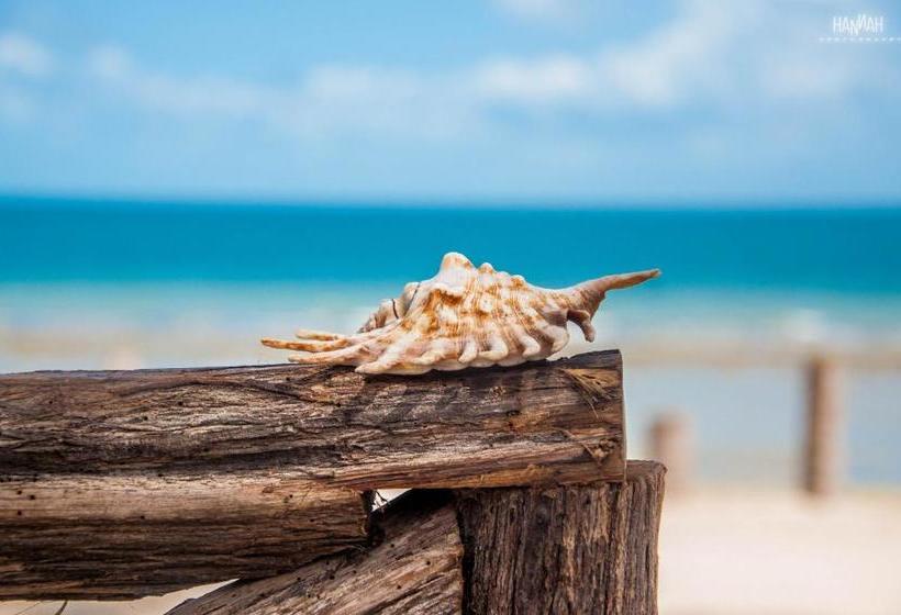 Отель Na Beira Do Mar Pousada