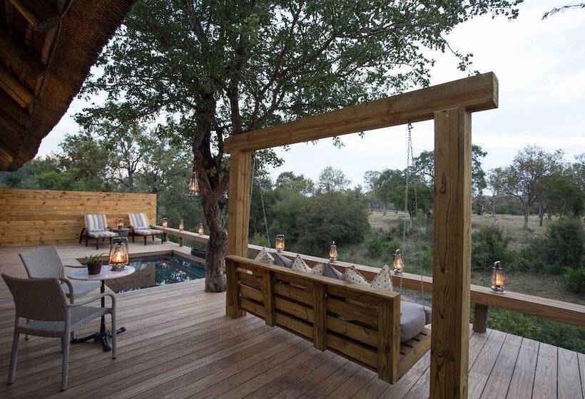 ホテル Simbambili Game Lodge