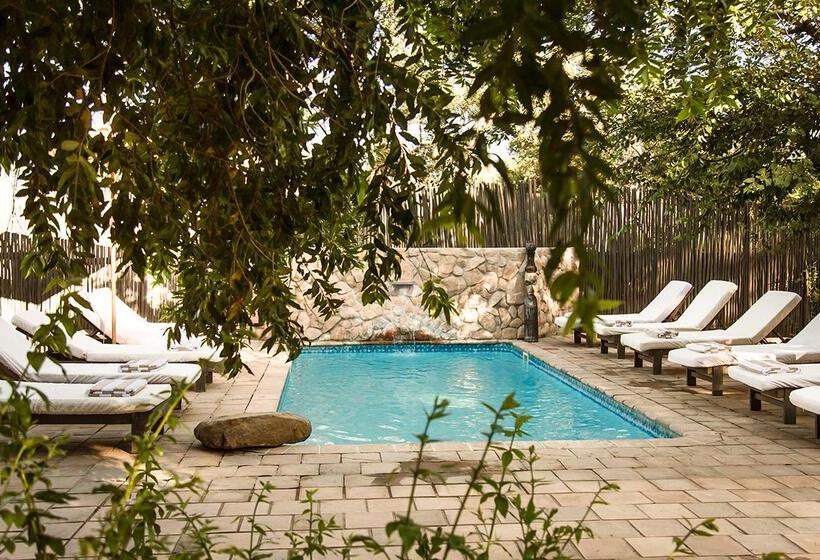 ホテル Simbavati River Lodge