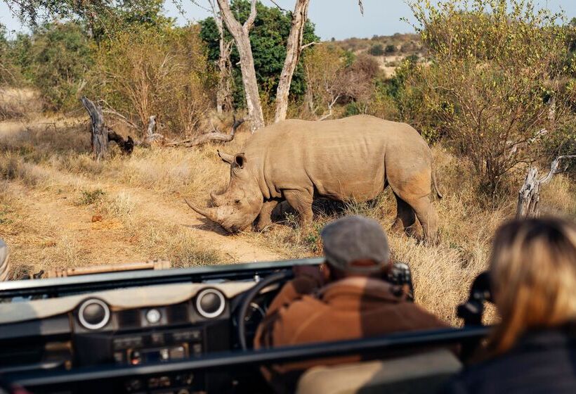 ホテル Simbavati River Lodge