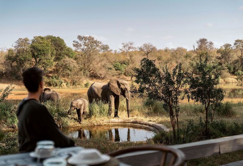 ホテル Simbavati River Lodge