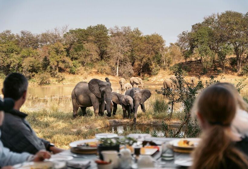 فندق Simbavati River Lodge