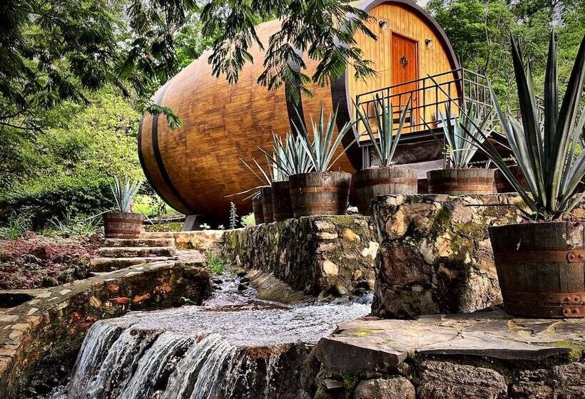 Matices Hotel De Barricas