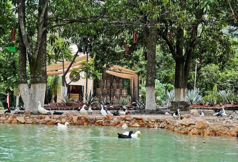 Matices Hotel De Barricas