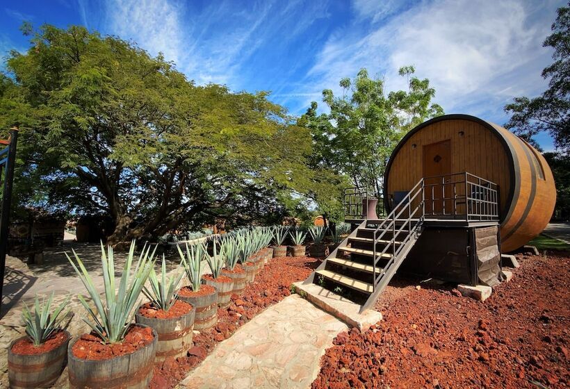 Matices Hotel De Barricas