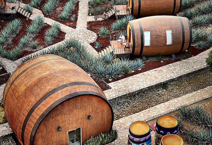 Matices Hotel De Barricas